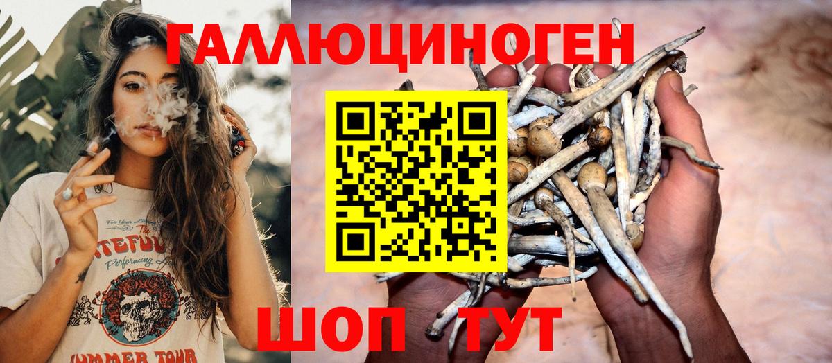 Псилоцибиновые грибы Magic Shrooms  Вход с VPN  Новокубанск  Галлюциногенные грибы мицелий 