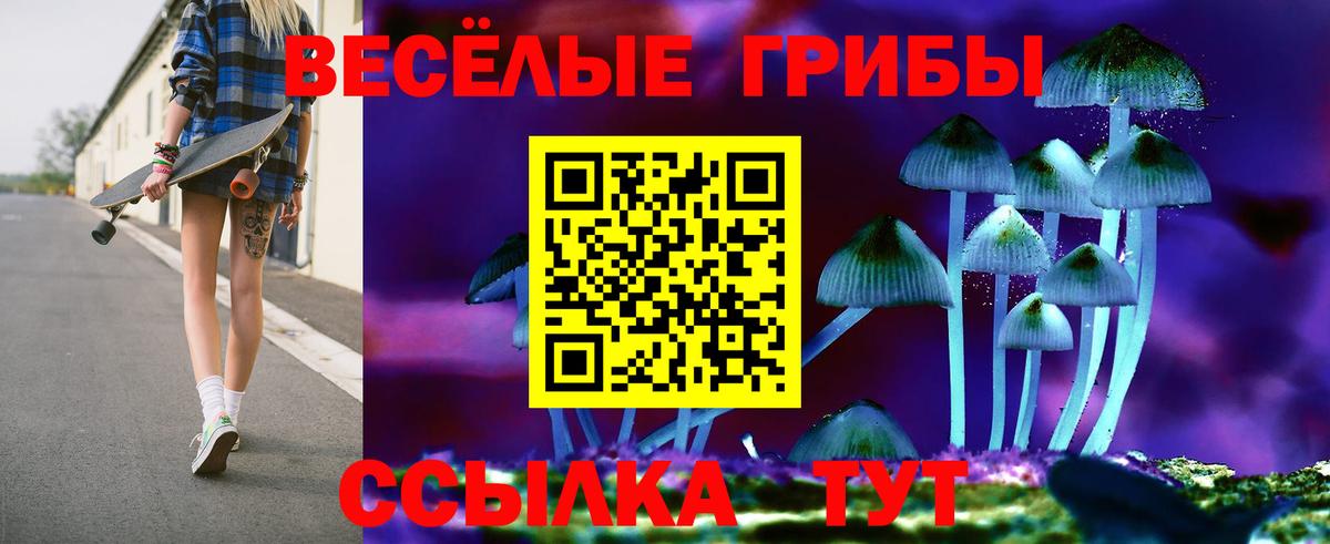Галлюциногенные грибы мухоморы Новокубанск